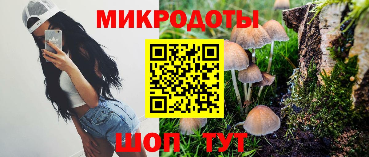 Галлюциногенные грибы ЛСД  Вход с VPN  Артём  Галлюциногенные грибы прущие грибы 