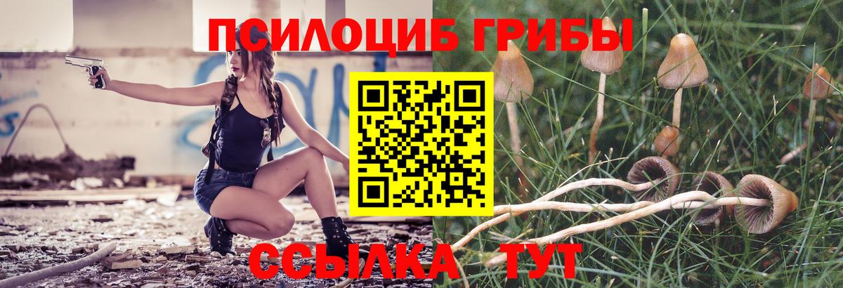 Галлюциногенные грибы Psilocybe Артём